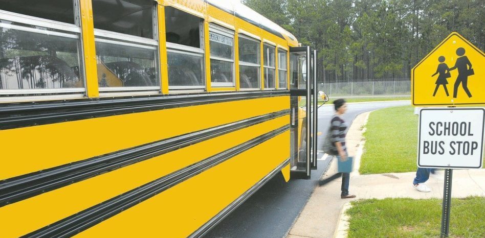 schoolbus, vehicle, bus-81717.jpg